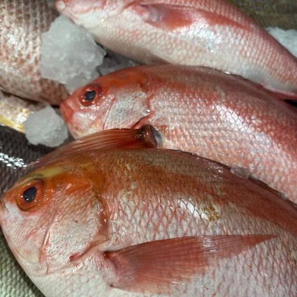 WhatsApp Image 2025 05 22 at 3.35.45 PM 1 580x580