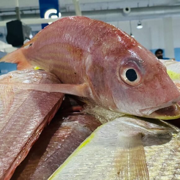 WhatsApp Image 2025 05 22 at 3.35.45 PM 2 580x580