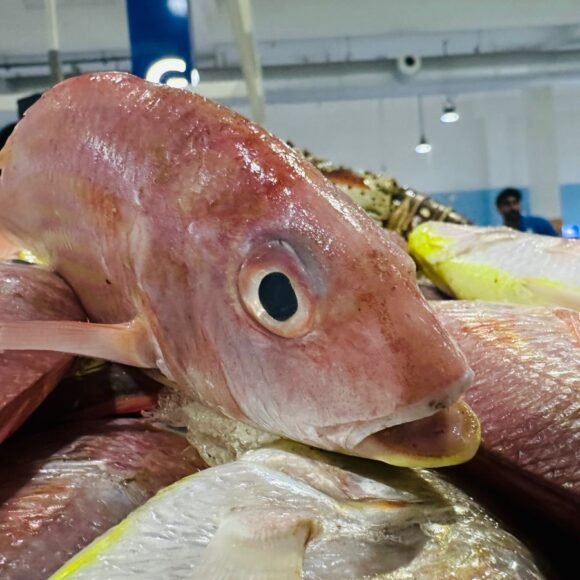 WhatsApp Image 2025 05 22 at 3.35.45 PM 8 1 580x580