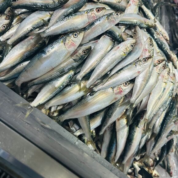 WhatsApp Image 2025 05 22 at 3.35.46 PM 580x580