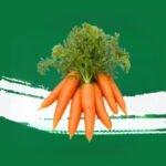 Carrot C
