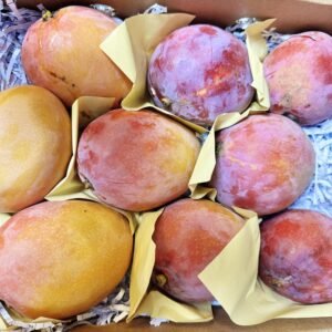Mangoes Carnival 3.5-4.0kg box.