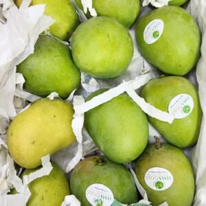 Mango Alphonso Box 2.5kg-3Kg