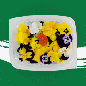 Gourmet Bloom