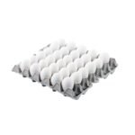 Fresh Shell LARGE Egg's (100% VEGAN)-Pack of 30.