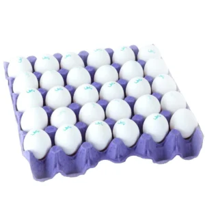 Fresh Egg's size LARGE pack of 30.(100% Vegan).